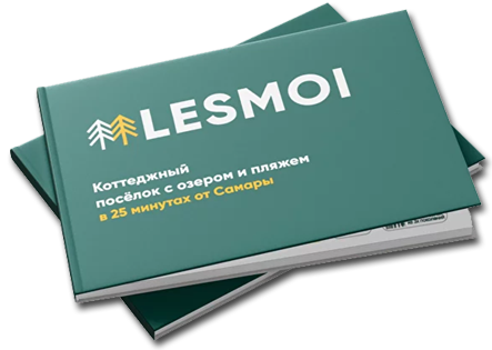 Презентация ЛесМой